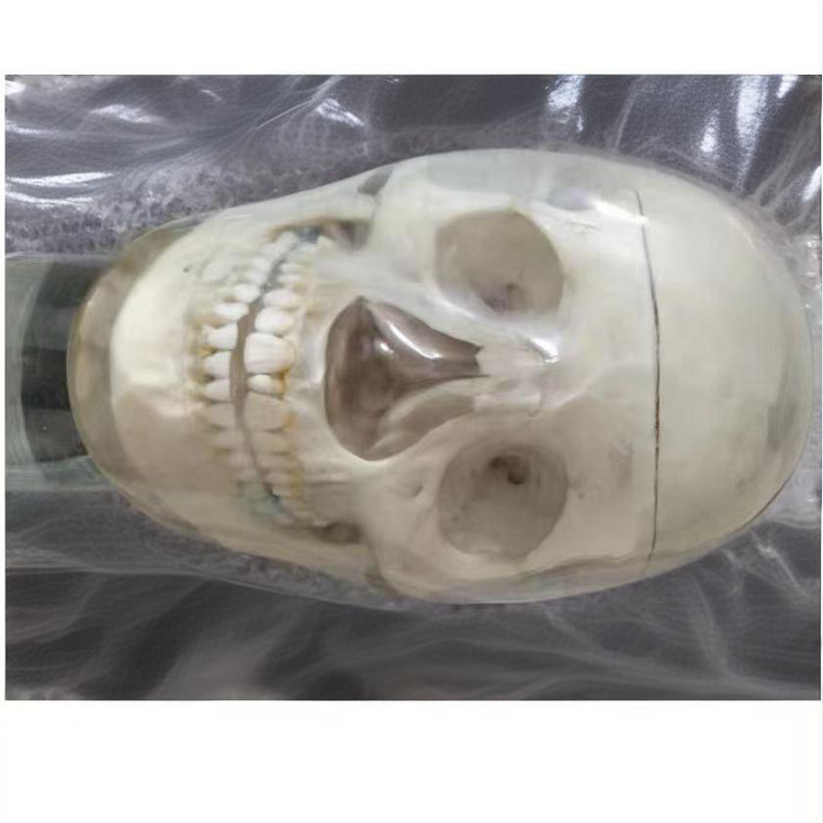 高级仿头模系统